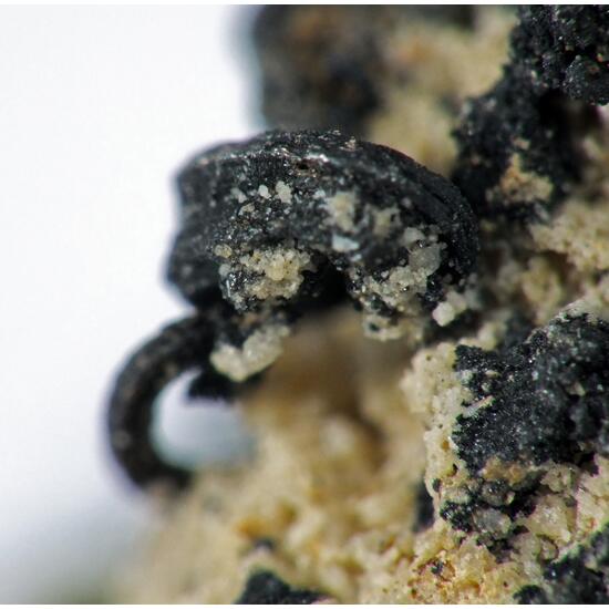 Acanthite & Native Silver In Siderite