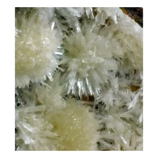 Aragonite