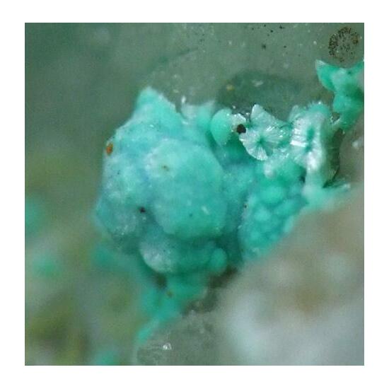 Azurite Aurichalcite & Rosasite On Smithsonite