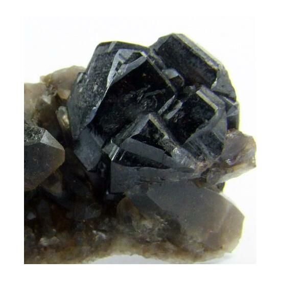 Cassiterite On Smoky Quartz