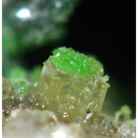 Arsentsumebite & Chalcosiderite On Mimetite