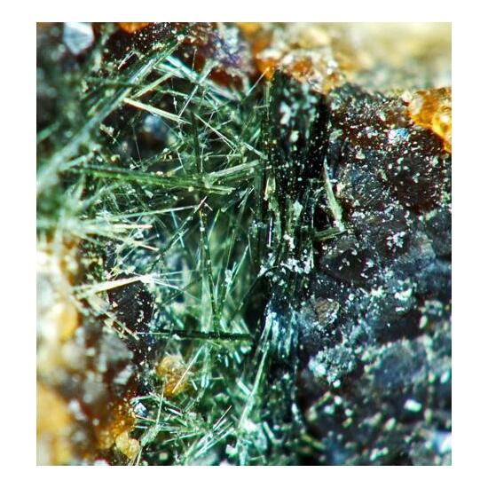 Hastingsite & Bismuthinite On Andradite