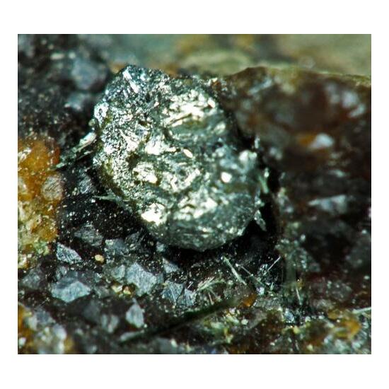 Hastingsite & Bismuthinite On Andradite