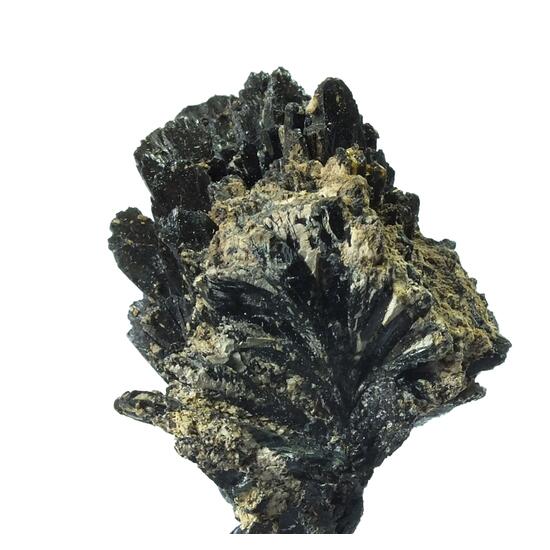 Santabarbaraite & Vivianite