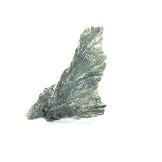 Santabarbaraite & Vivianite