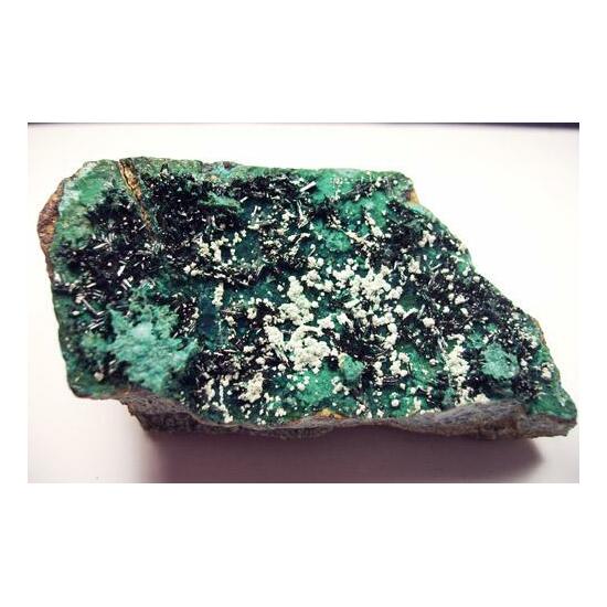 Atacamite With Halloysite & Libethenite