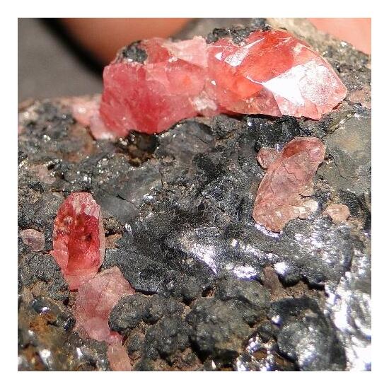 Rhodochrosite