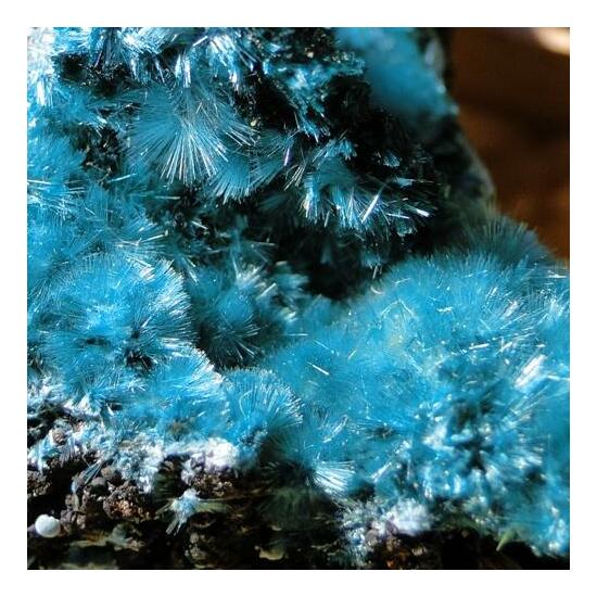 Brochantite & Chrysocolla