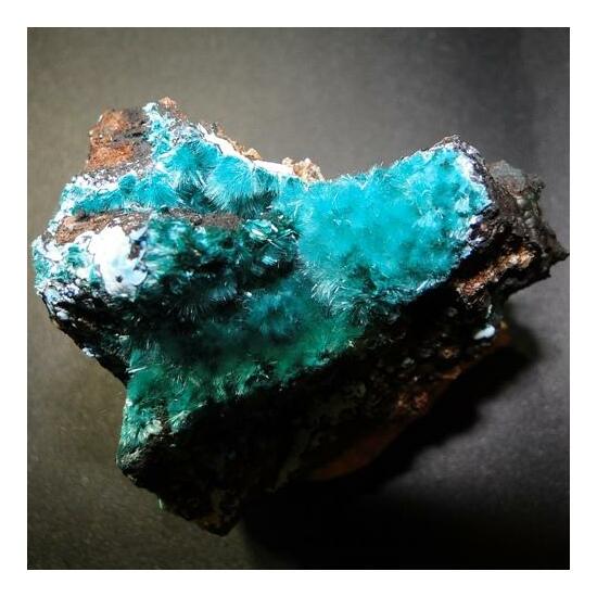 Brochantite & Chrysocolla