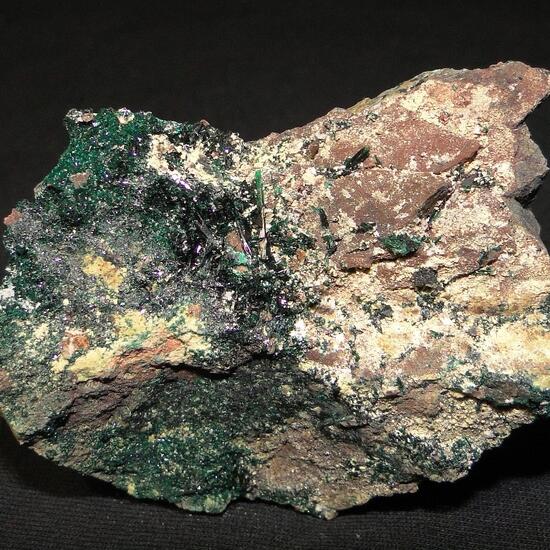 Anatacamite & Paratacamite