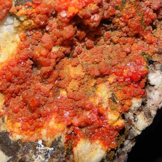 Chromian Wulfenite