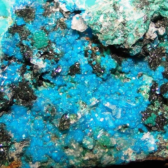 Sampleite & Atacamite