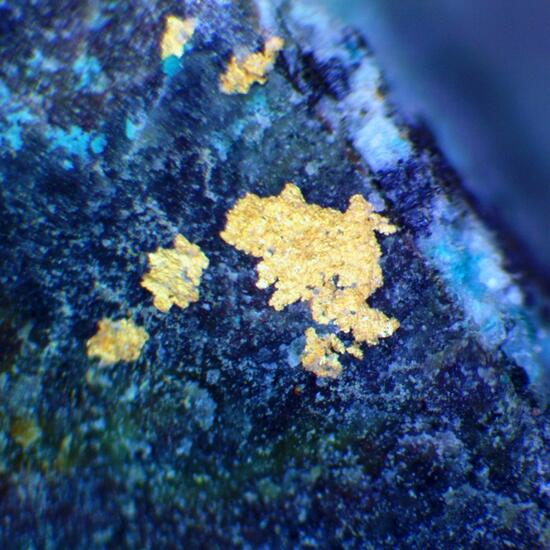 Gold & Atacamite