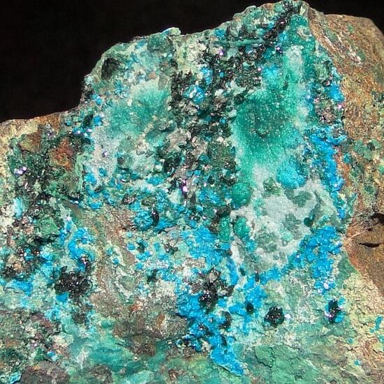 Sampleite & Atacamite