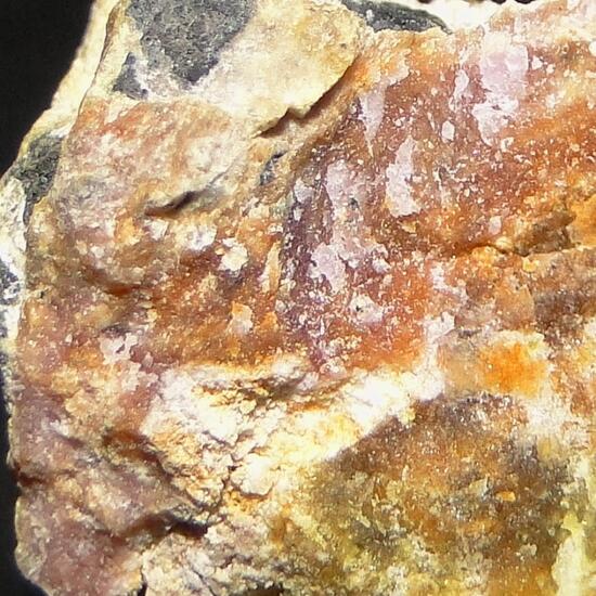 Camaronesite