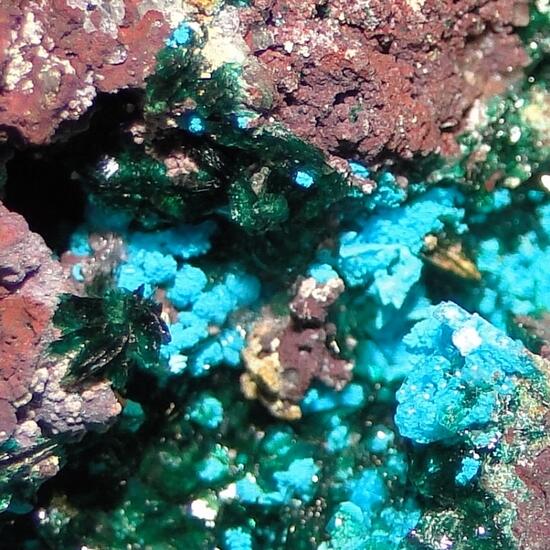 Clinoatacamite