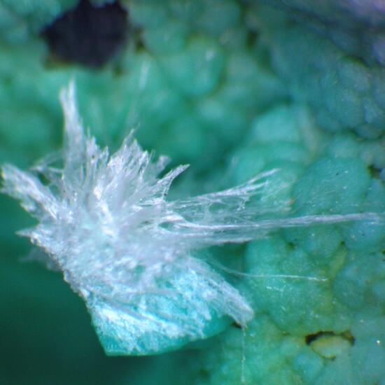 Rosasite Psm Calcite