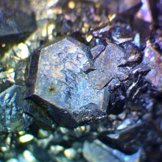 Bornite