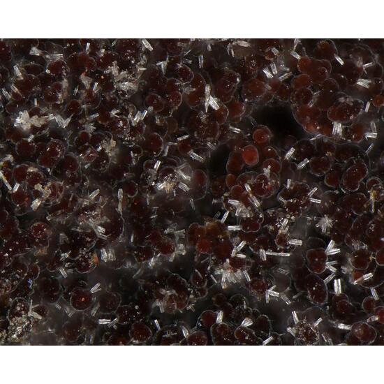 Rhabdophane-(Nd)