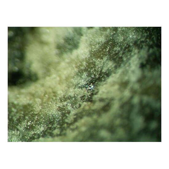 Hedleyite & Tetradymite