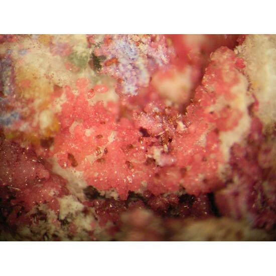 Variscite & Leucophosphite