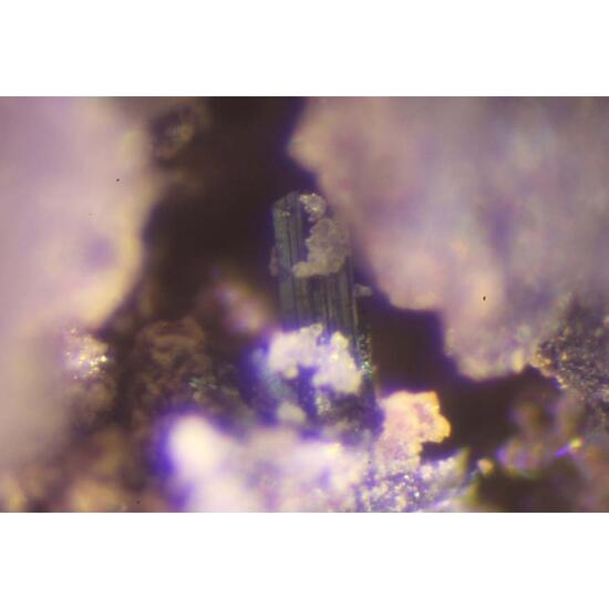 Argentopyrite