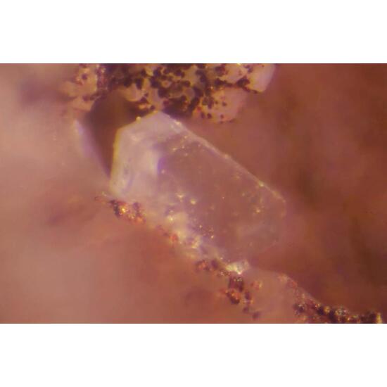 Caracolite