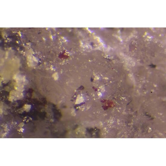 Routhierite Arsiccioite & Protochabournéite