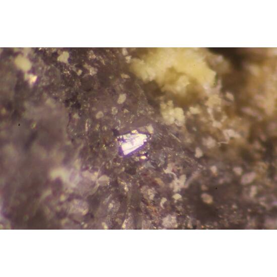 Routhierite Arsiccioite & Protochabournéite