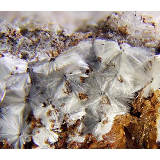 Alumohydrocalcite