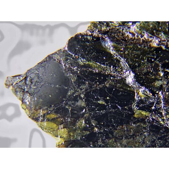 Thoreaulite