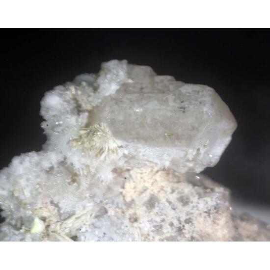 Wardite