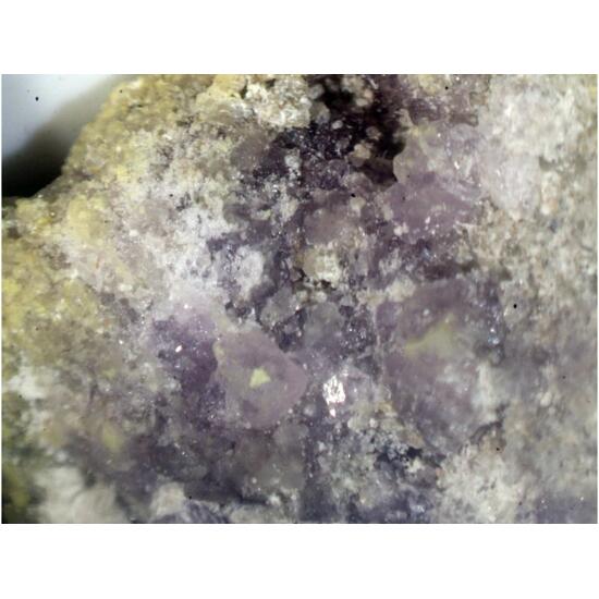 Goldichite