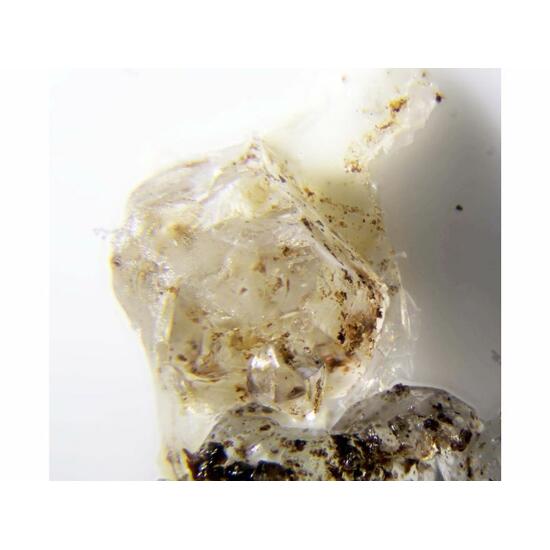 Rinneite & Saltonseaite