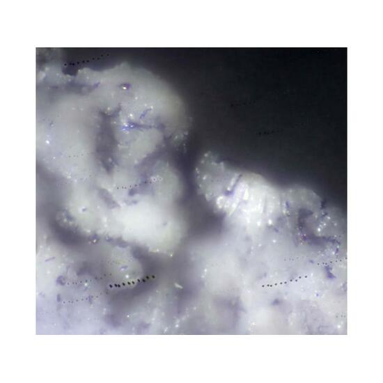 Demicheleite-(I) & Adranosite