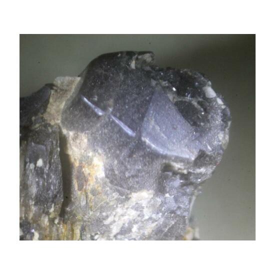 Fluoro-richterite