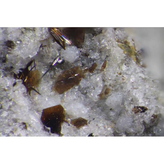 Warwickite Tridymite & Fluorophlogopite