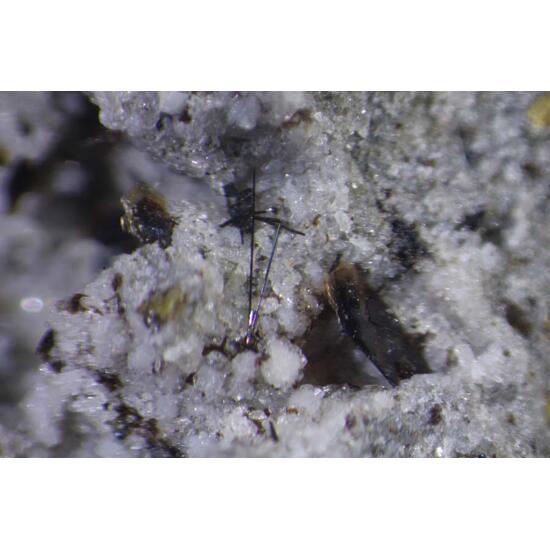 Warwickite Tridymite & Fluorophlogopite