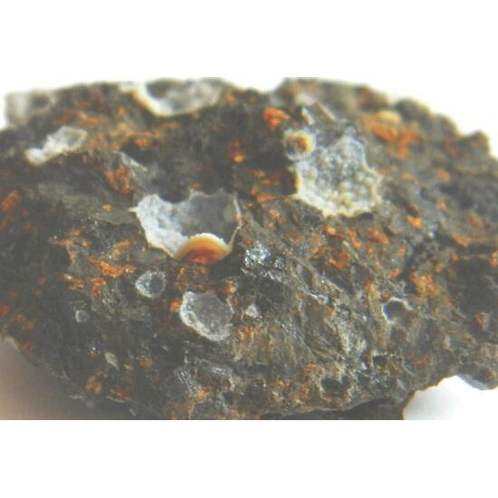 Phillipsite