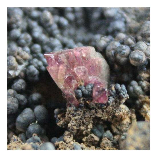 Manganoan Adamite