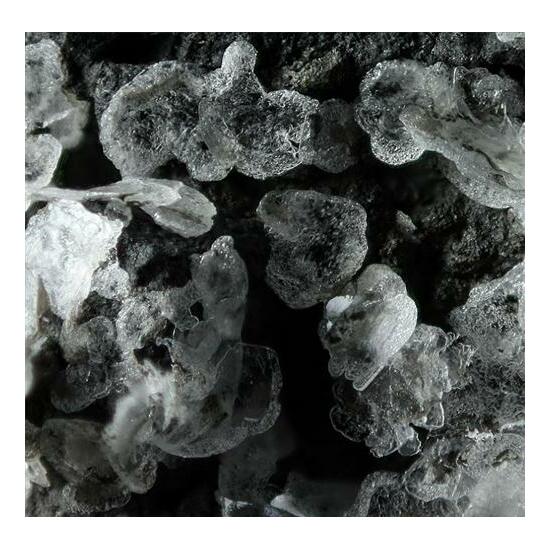 Ravatite