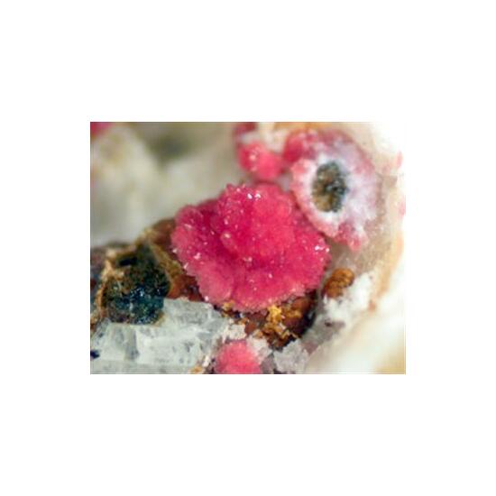 Variscite & Leucophosphite