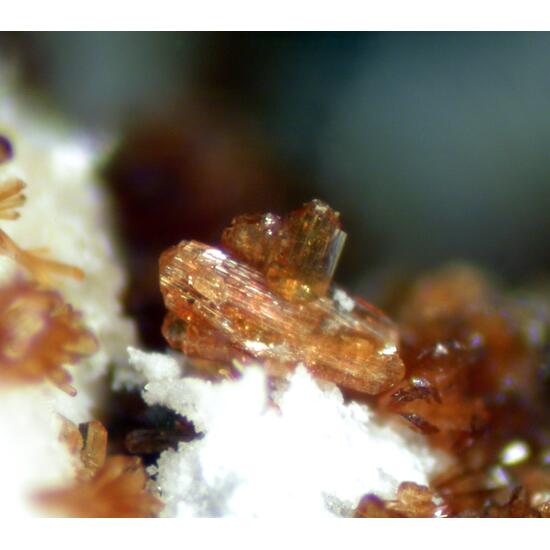 Sapucaia Mine Selection (12 Specimens)