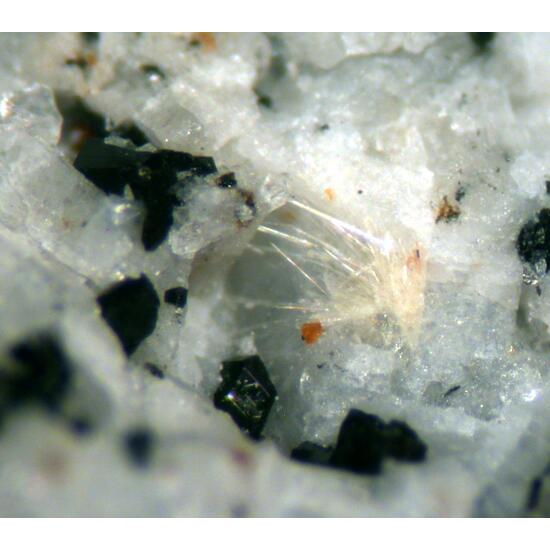 Fogoite-(Y) & Astrophyllite