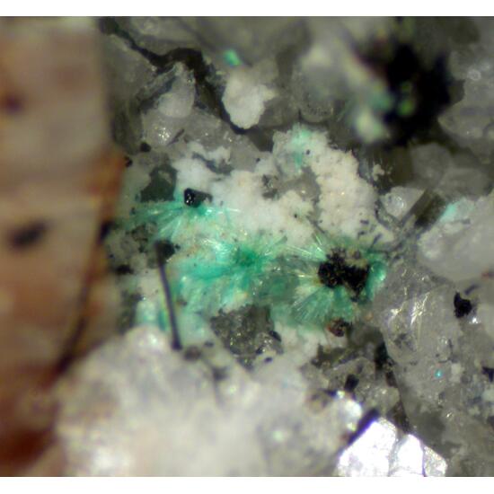 Synchysite-(Ce) & Agardite-(Y)