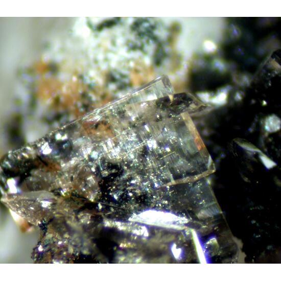 Whiteite-(MnFeMg) Hureaulite & Barbosalite