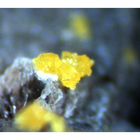 Humboldtine & Muscovite