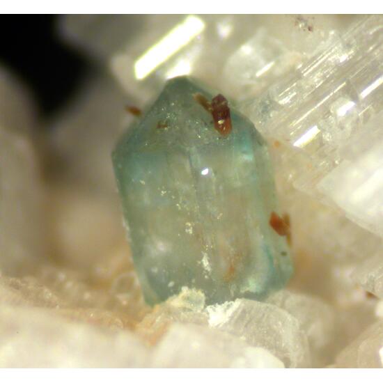 Fluorapatite & Greifensteinite