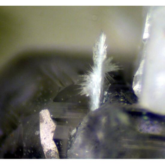Jervisite Fluorite & Fersmite