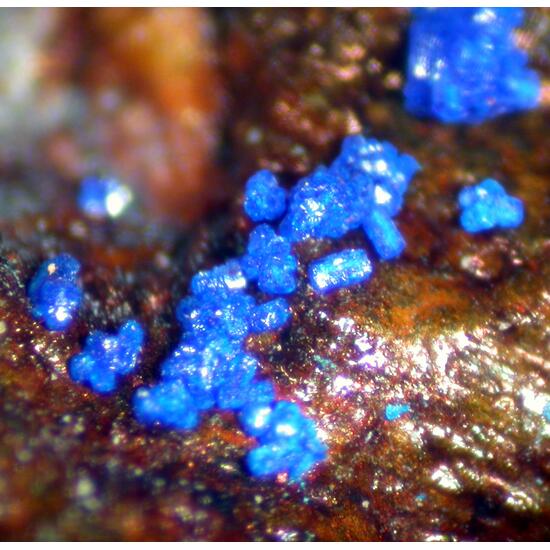 Copper & Azurite